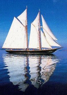 bluenose3.JPG